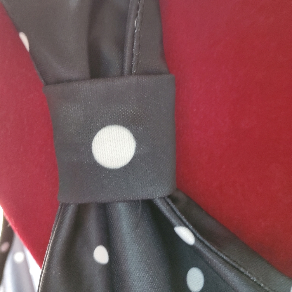 Anthony‎ Richard 1X Sleeveless Polka-dot Dress - Picture 6 of 6